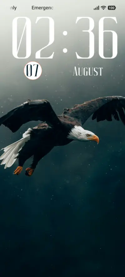 Eagle THEME for Xiaomi MIUI HyperOS