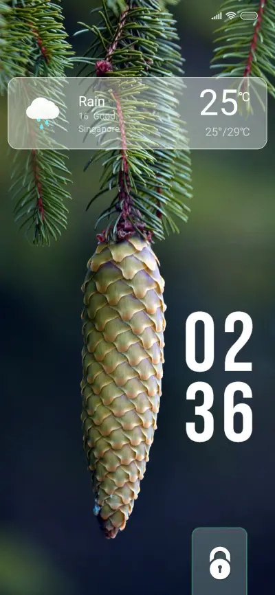 Pine Aurora