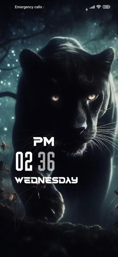 Black Panther - Screenshot 1