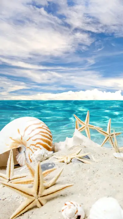 海星 (1) - Screenshot 1