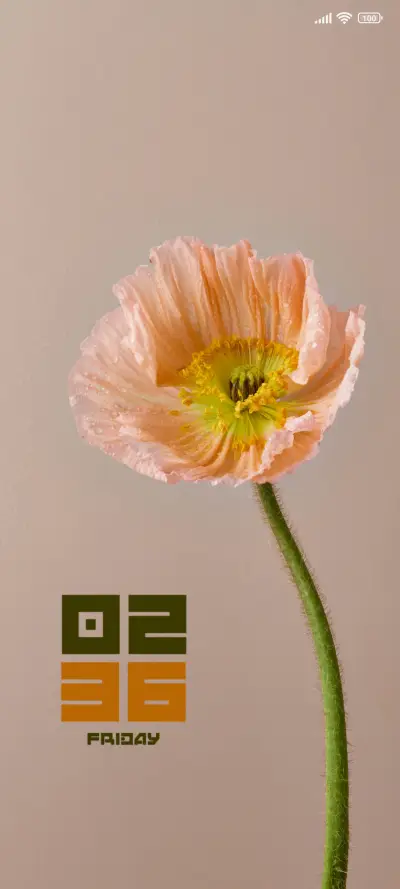 Pastel Paradise - Screenshot 1