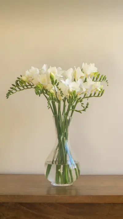 Maintenance guide for freesia