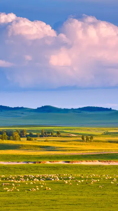 草原风景-【视觉中国】 - Screenshot 1