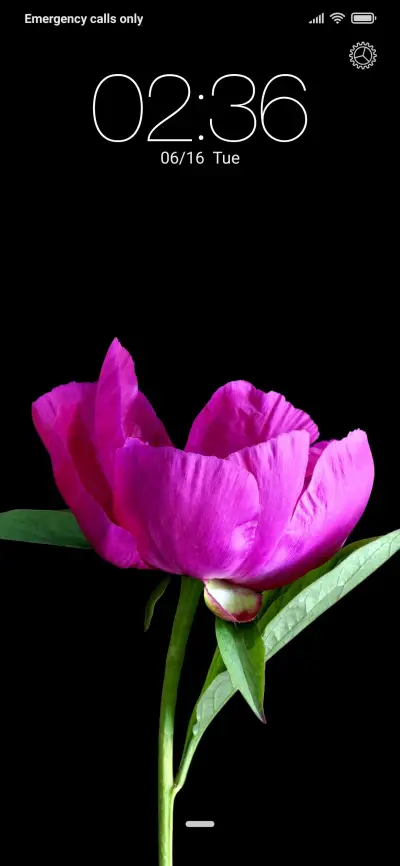 Peony (JD) - Screenshot 1