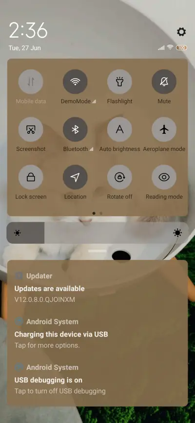 Lazy Cat - Screenshot 5