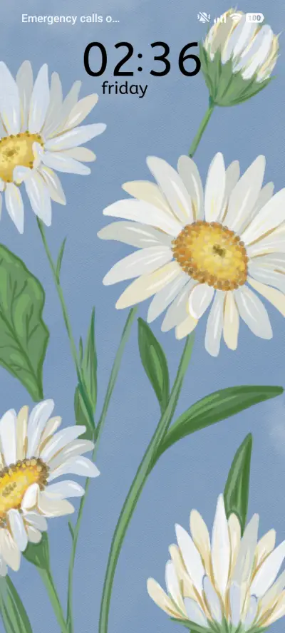 Soft Petal - Screenshot 1