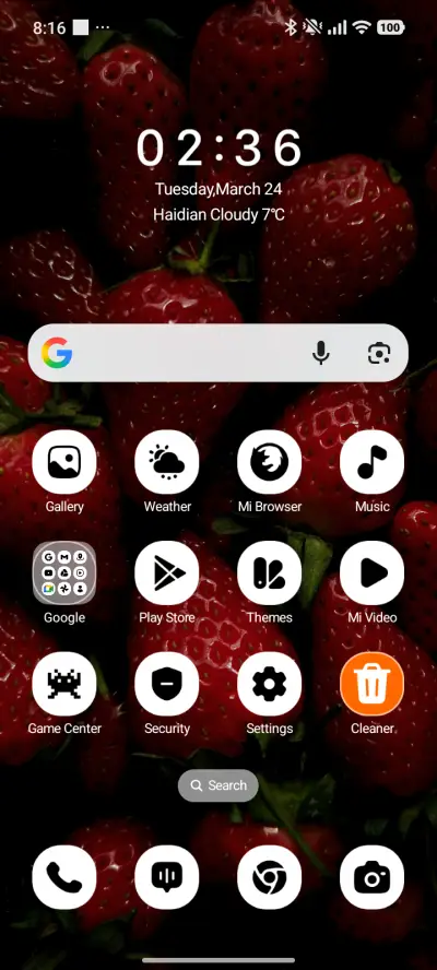 Berry Bloom - Screenshot 2