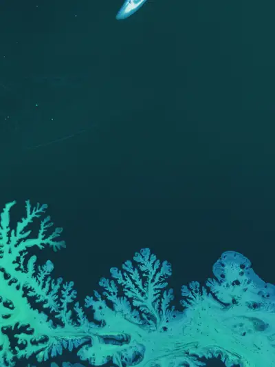 Love For Art 2 - Screenshot 1