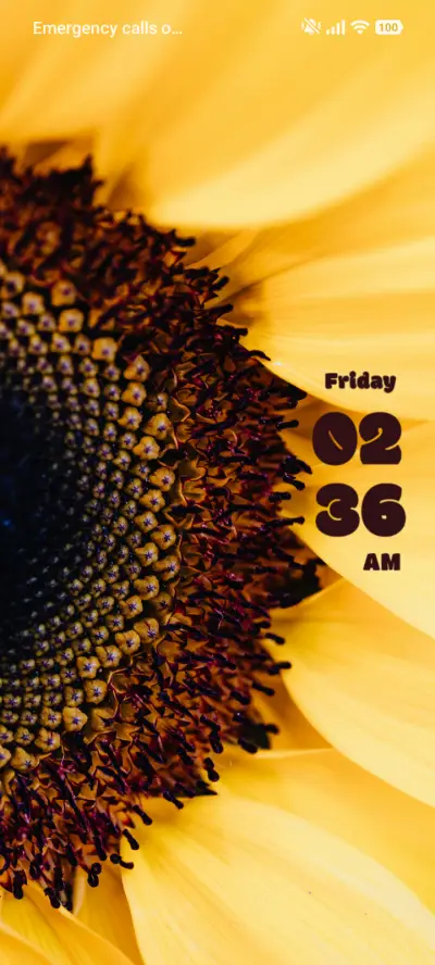 Sunflower - Screenshot 1