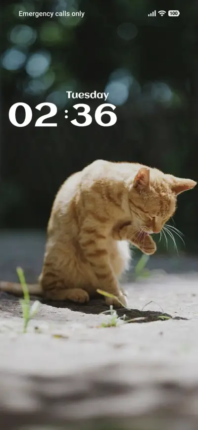 Cat Look THEME for Xiaomi MIUI HyperOS