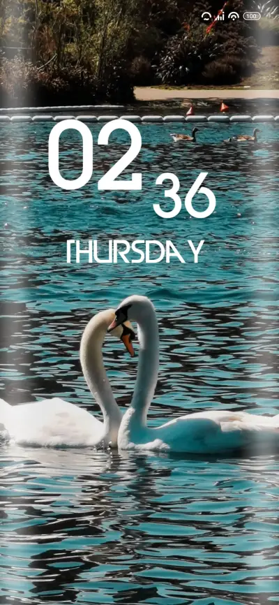 Couple Swan - Screenshot 1