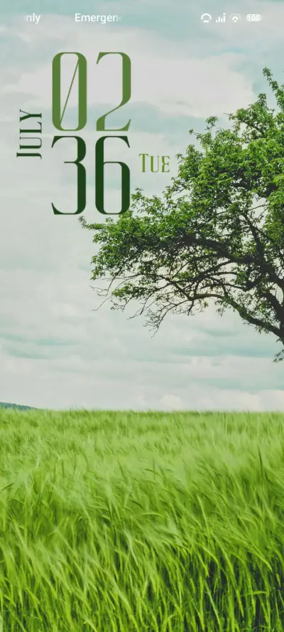 Alone Tree THEME for Xiaomi MIUI HyperOS
