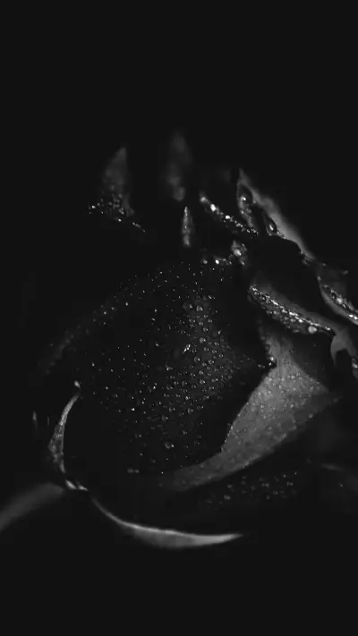 Black and White Photography Art