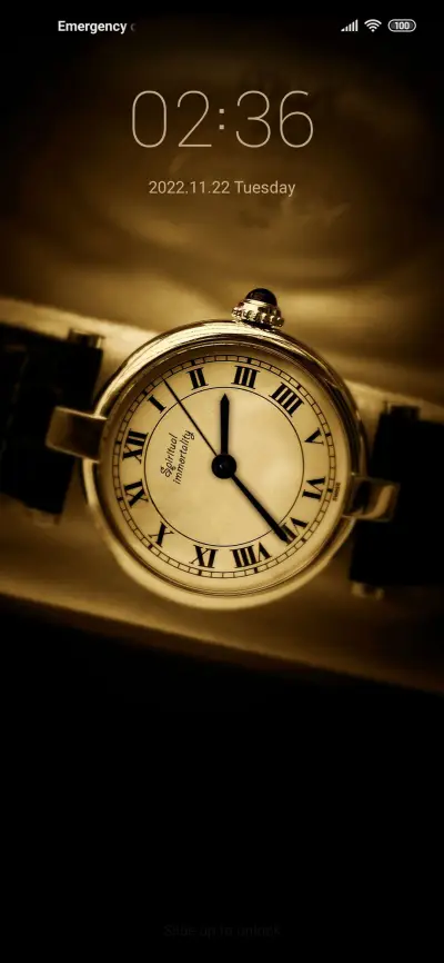 Gold Time - Screenshot 2