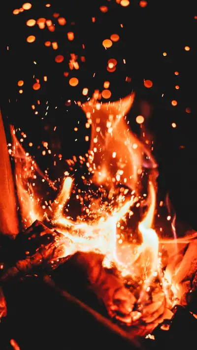 international_fire (2) - Screenshot 1