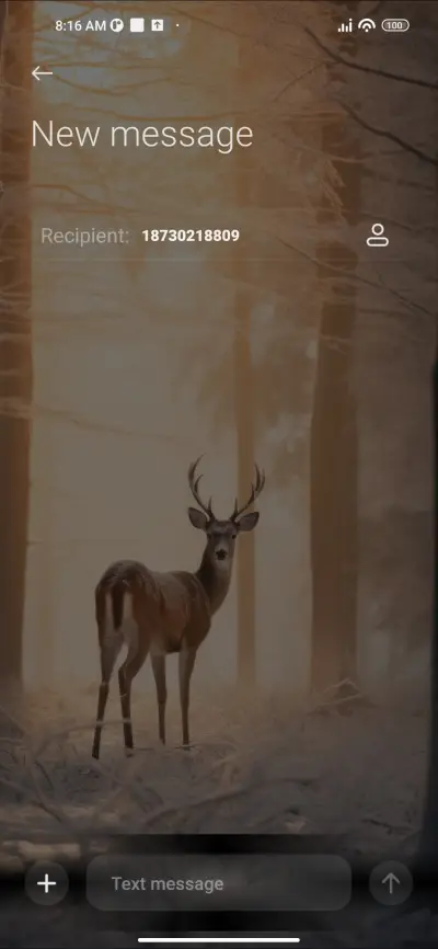 Deer in Woods - Screenshot 8