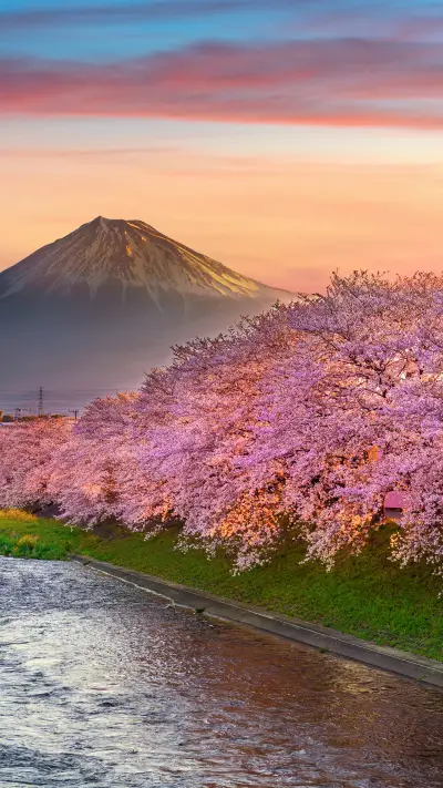 Embrcing Nature - Screenshot 1