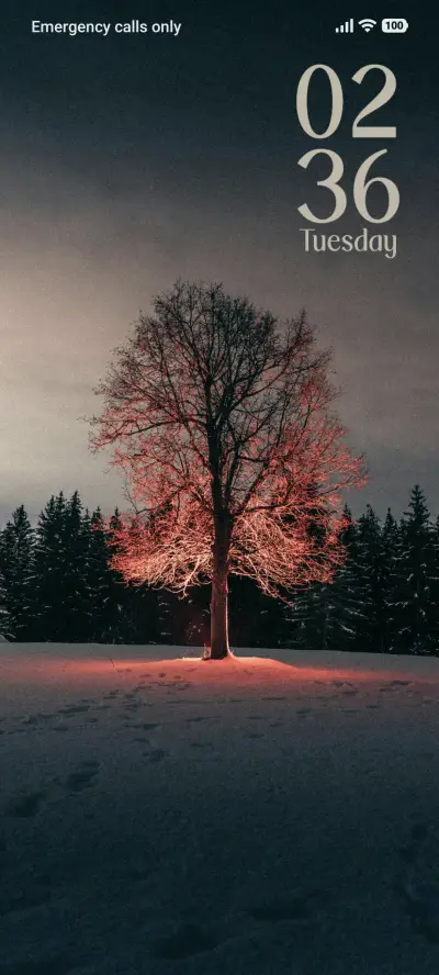 Winter's Glow