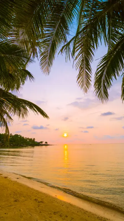 beautiful wallpapers-0