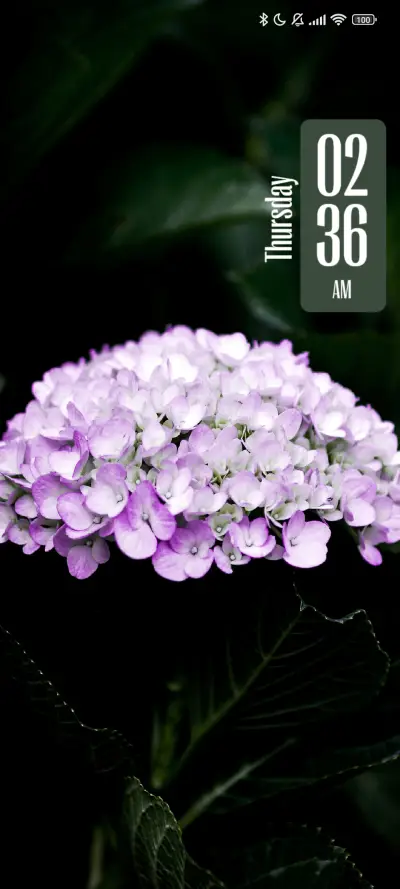 Green Leaves - Screenshot 1