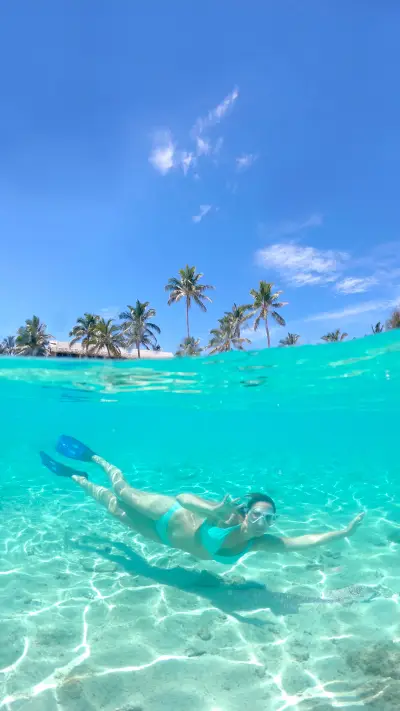 Sea World - Screenshot 1