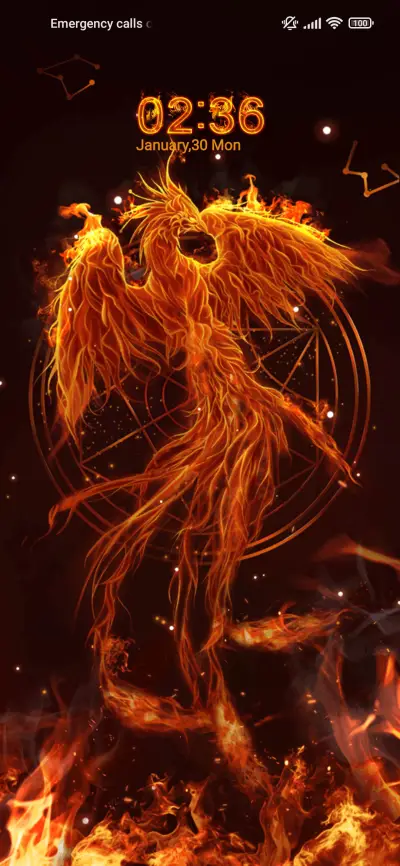 Phoenix in Fire