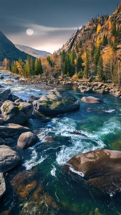 Notes to the nine free walks 45