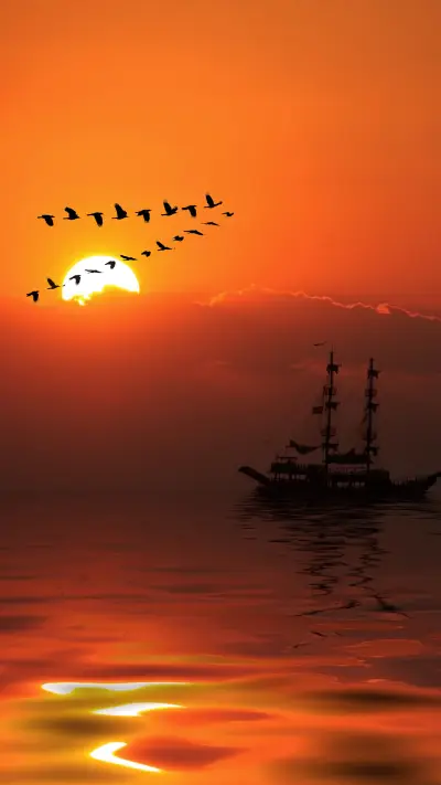 lingering light of the setting sun-01