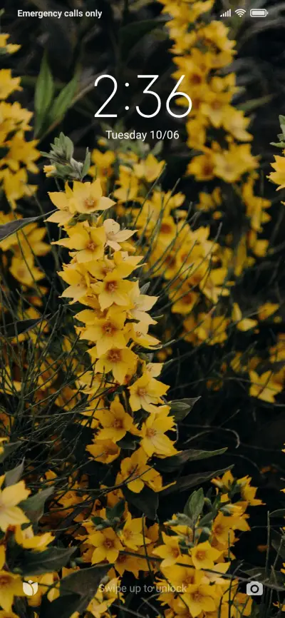 Official MIUI Theme_22 - Screenshot 1