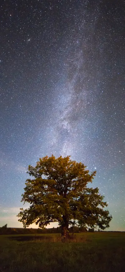 Romantic Aurora-PAIXIN - Screenshot 1