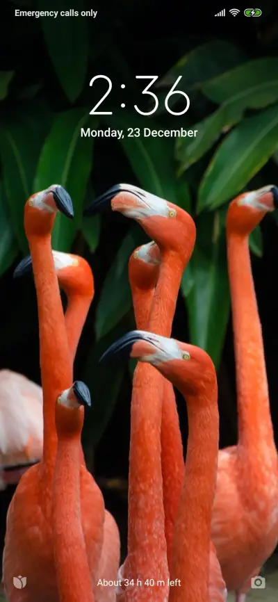 Official MIUI Theme_26