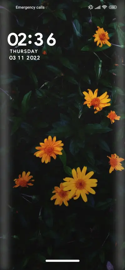 Flower_Infinity - Screenshot 1