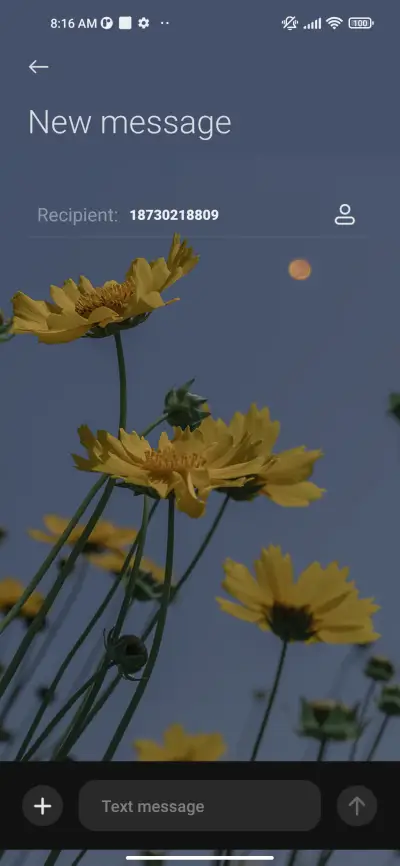 Slowly and Slowly - Screenshot 8