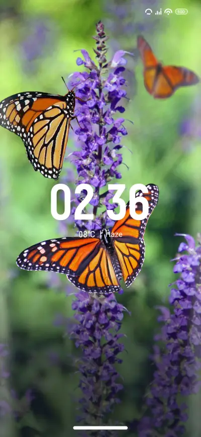 Lavender Joy - Screenshot 1