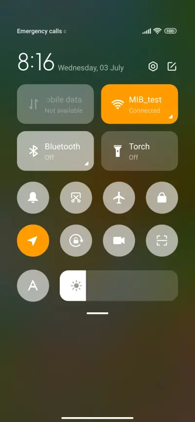 Capybara - Screenshot 6