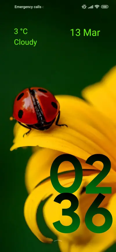 sunflower bug - Screenshot 1