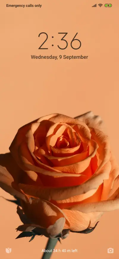 Official MIUI Theme_2