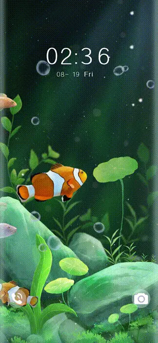Lucky+aquarium