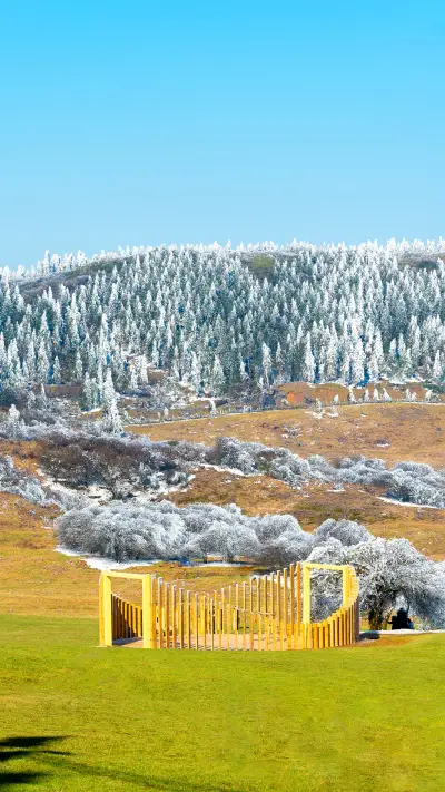 Chongqing travel guide 2