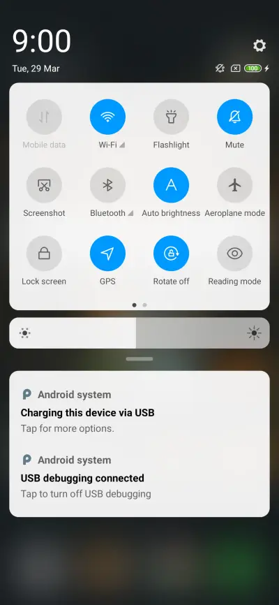 Lion - Screenshot 5