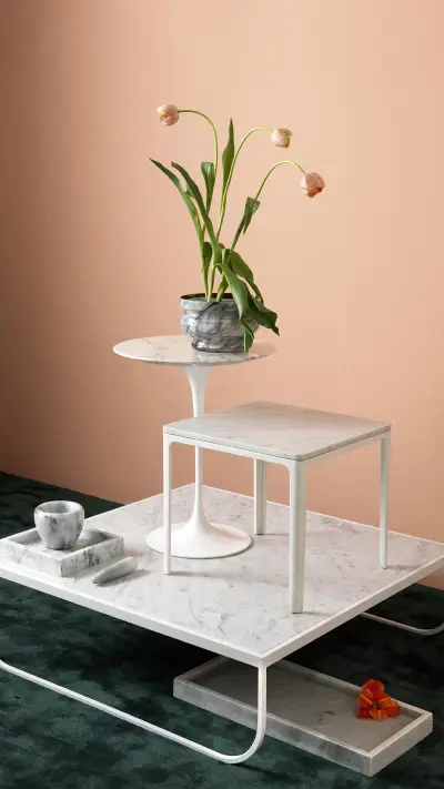 Home plant 06 - Screenshot 1