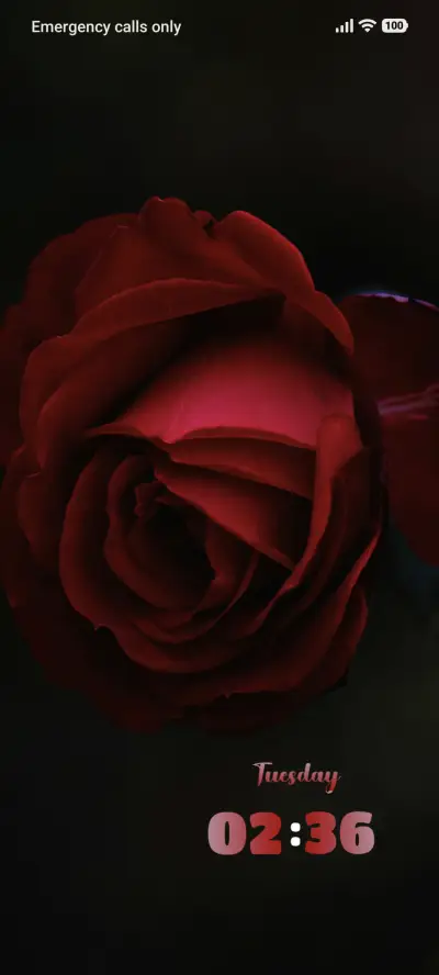 Red Rose