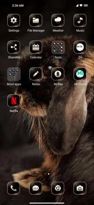 Cute Rabbit - Screenshot 3