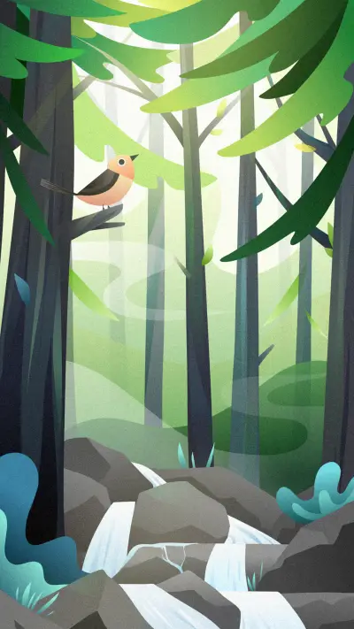 Artists' Illustrations (1)