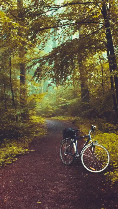 森林-【视觉中国】 (2) - Screenshot 1