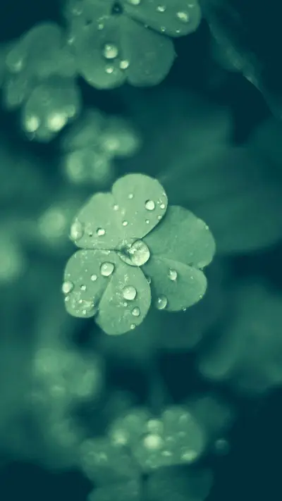 international_plant (7) - Screenshot 1