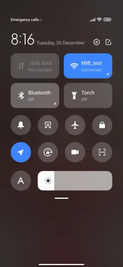 Winter+tulips - Screenshot 5