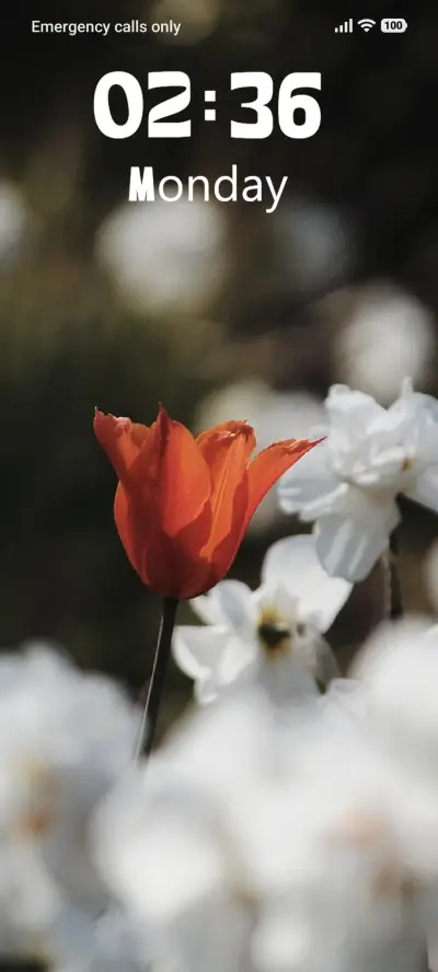 Daisy - Screenshot 1