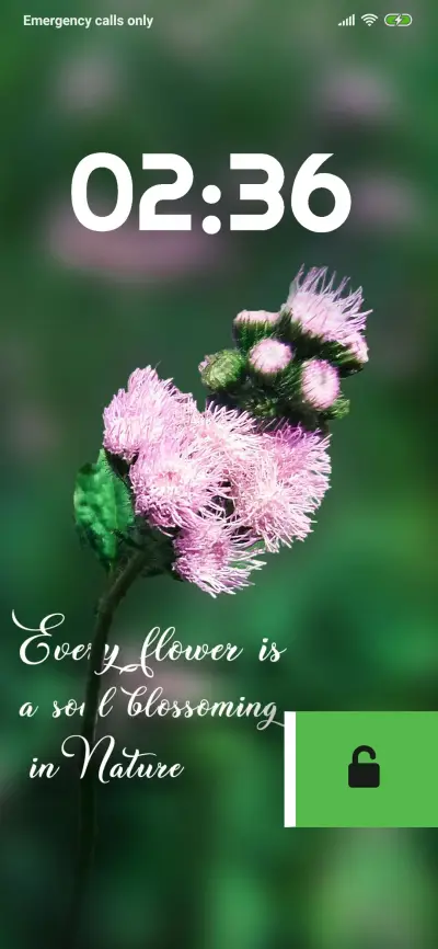 BLOSSOM_STIW_REGULAR - Screenshot 1