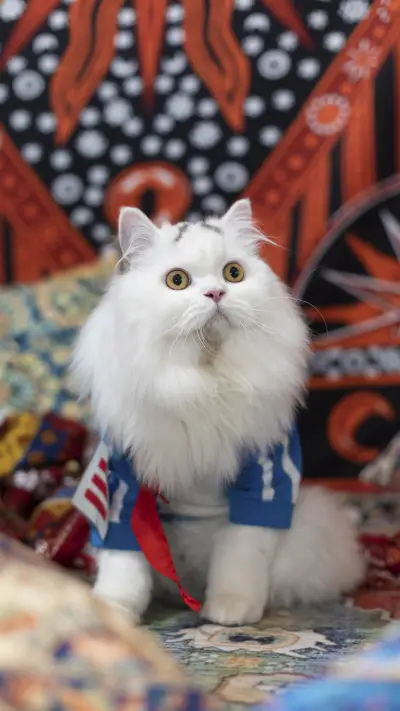 What the shit shoveling officer doesnt know 71